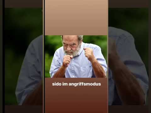 Negatiiv og Sido BEEF