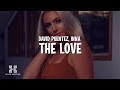 David Puentez & INNA - The Love (Lyrics)