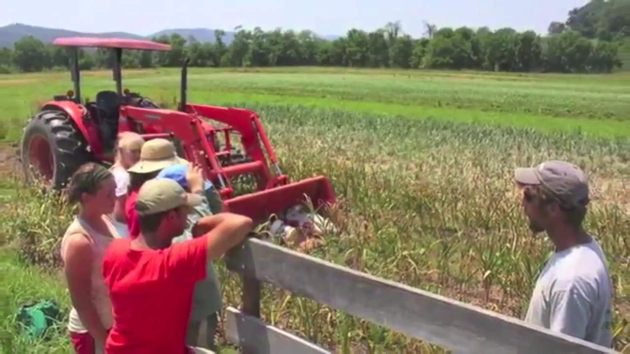 Dickinson College Farm Video Compilation