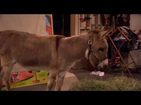 Jim szerint a világ -  Jelenetek