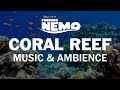 Finding Nemo Coral Reef Aquarium Background