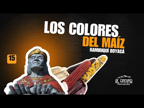 15: Los colores del maíz