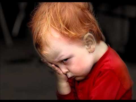 Mijn Zoon Is De Allergrootste Knor