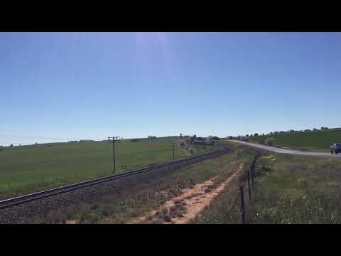 Pacific National steel train