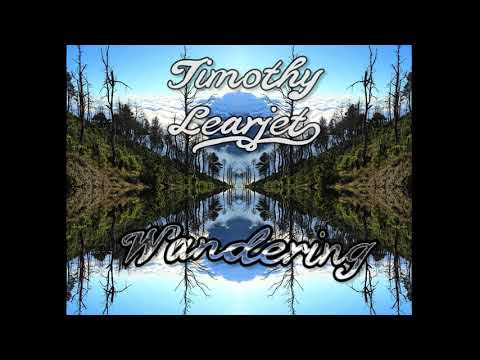 Wandering - Timothy Learjet (Official Audio)