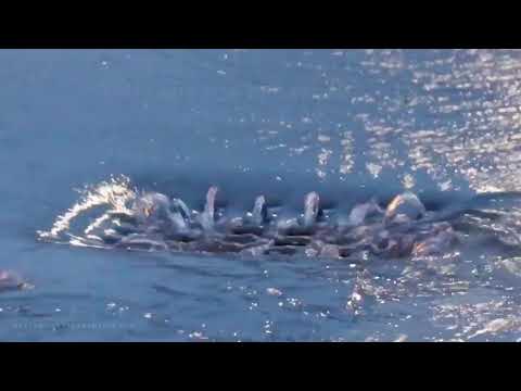 08-29-19 Falmouth, MA - Heavy Rains Sweep Through Massachusetts- Flash Flood Watch