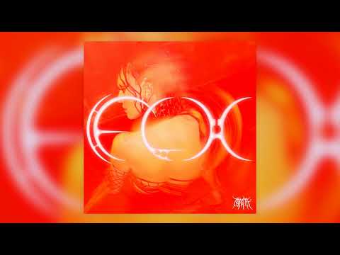 TAMTA - FLX | Official Audio Release