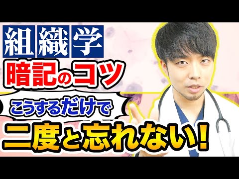 医学科 【サルでも分かる組織学のまとめ】この動画を見れば暗記しなくても全てを理解することができます#医学部 #医学生道場 #医学部受験