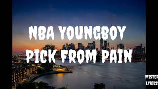 NBA Youngboy - Pick From Pain (Lyrics)