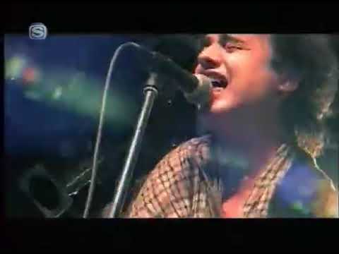 The Libertines - TV Special Live in Japan 2003/2004