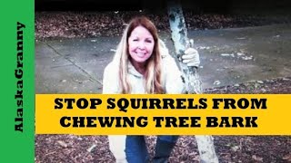 Stop Squirrels And Animals From Chewing Trees Bark- Garden Tips Tricks Hacks