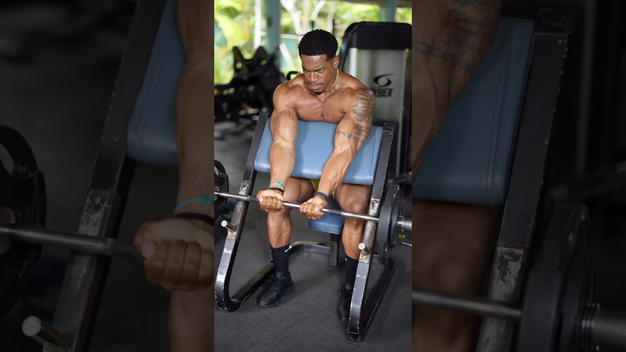 Build Your Arms With These 4 Exercises !