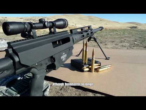 BIG Bore, Small Price | BCA .450 Bushmaster