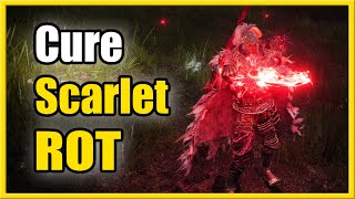 How to Cure Scarlet Rot with Flame Cleanse Me Spell & Boluses (Elden Ring Tutorial)