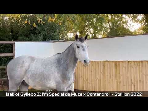 Isak of Gyllebo Z ☆ I'M SPECIAL DE MUZE x CONTENDRO I - Video 11 video thumbnail