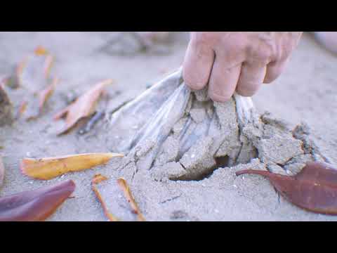 Teaser // Dieguito Reis & Jardim Soma - Mundo Louco (08.03)