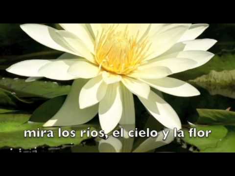 Mira Hacia Tu Alrededor video