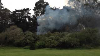 preview picture of video 'Brush fire in Golden Gate Park'