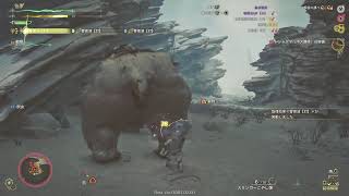 体験版の狩猟笛極めるよ