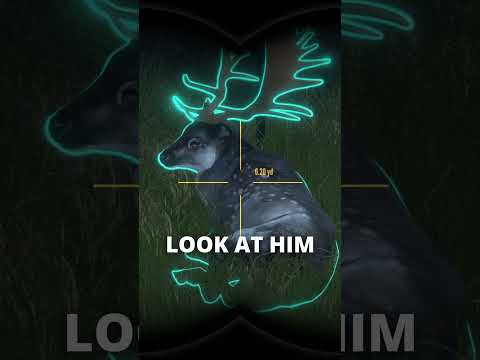 So I found a GREAT ONE in my sanctuary... 😅| theHunter: Call of the Wild