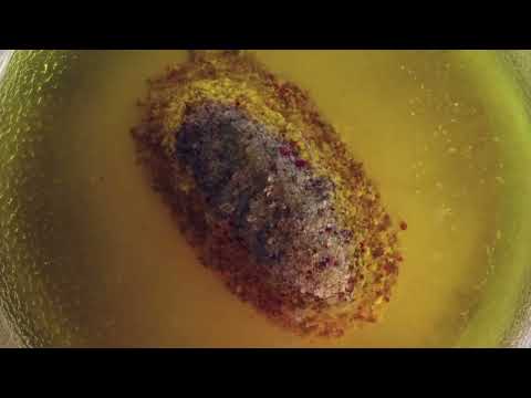 ČVRGE - APOTEKARSKA // 2023.