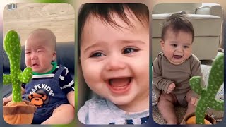 Baby scared by talking cactus toy👶👶🌵🌵#babu #trending #trending 