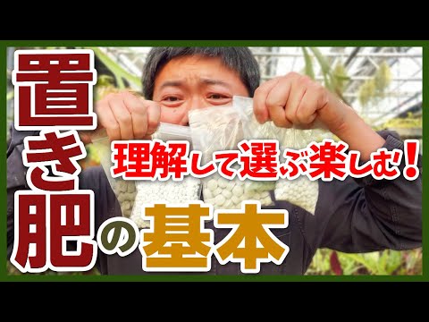 園芸 肥料の正しい投与量