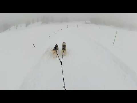 Footbike snow time Monster Kostka