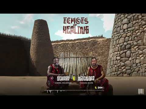 Echoes of Healing DINGINDIRA (SEKURU x Njenjaz)