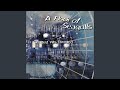 Burning Up (Pigface Remix)