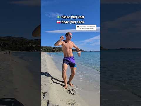 Kissekatt 🇸🇪🇵🇱 Koteczek #svenska #polska #kitty