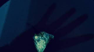 Luciérnaga - Alil Manzug