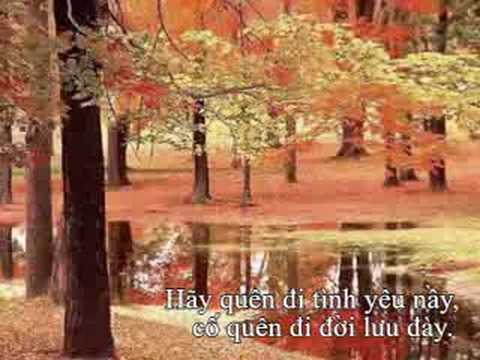 Cuộc tình mất bóng Sheet - Quỳnh Lan