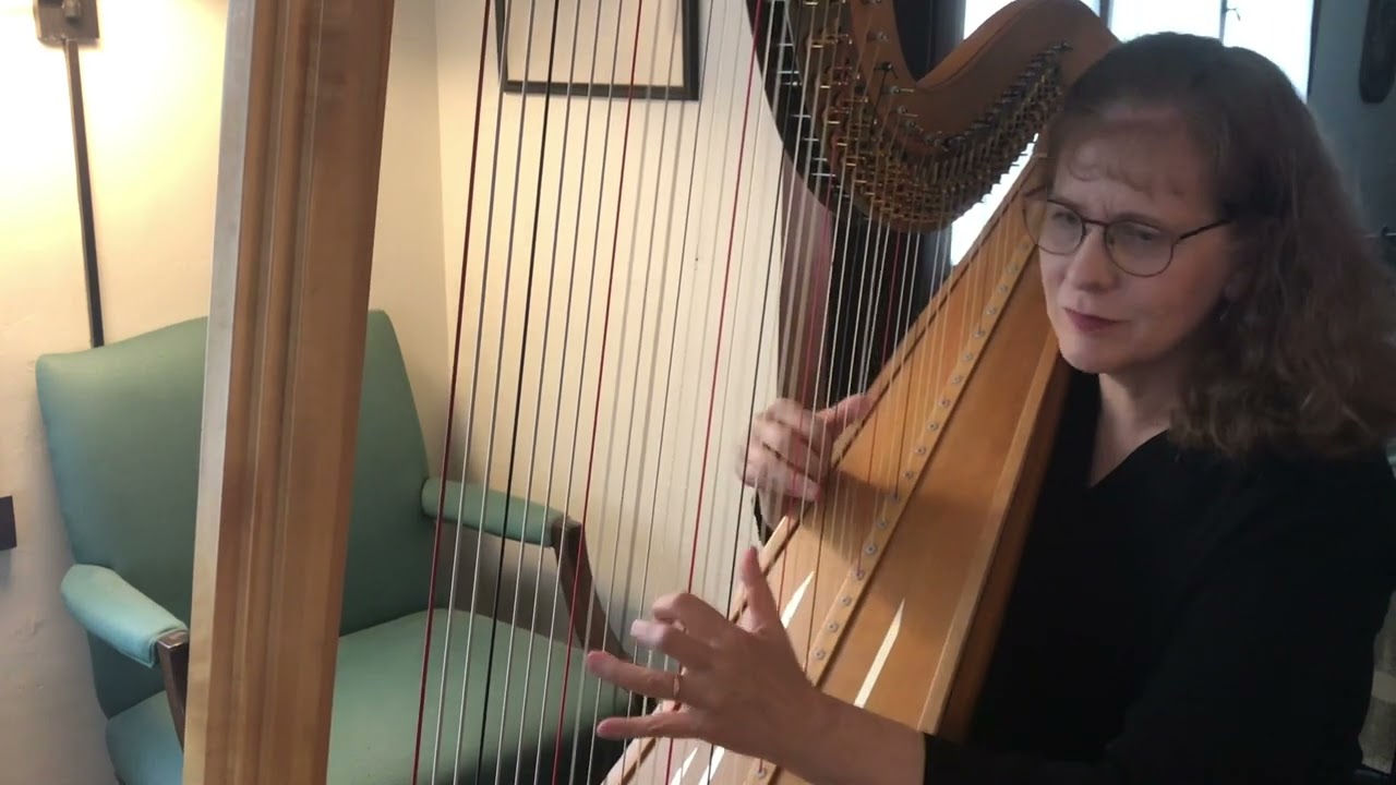 Promotional video thumbnail 5 for Renee Wilson, Harpist