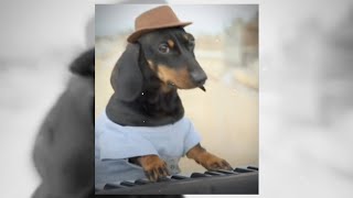 Cover art for BACK TO THE BEAT