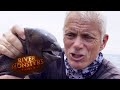 The Uniquely Fascianting Moray Eel | EEL | River Monsters