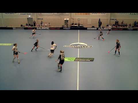 170223 Damer Div.1 Lindås IBK - IBK Göteborg (7 - 2) HD Per1