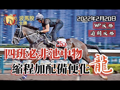【香港賽馬】2022年2月20日心水提供｜四班必非池中物，縮程加配備便化龍！｜WP攻略｜過關攻略