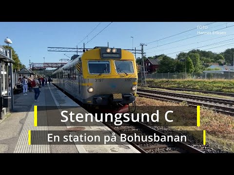 2021-08-23 STENUNGSUND  C ( Hannes Eriksen )