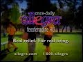 Allegra Commercial 2002