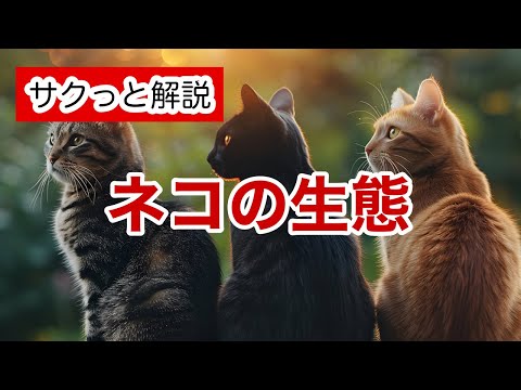 フェリス・シルベストリス・シルベストリス