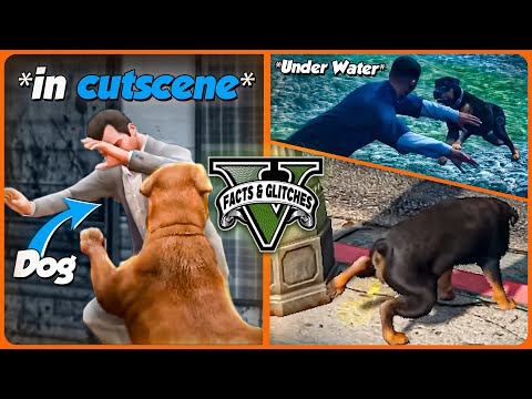 GTA 5's Animals Are BROKEN! - Let Me Ruin Them For You (Facts and Glitches)