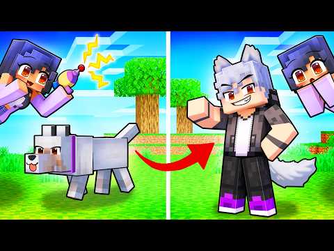 Turning PETS into FRIENDS in Minecraft!
