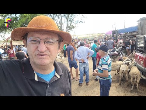 FEIRA DE ANIMAIS EM BOA VISTA-PB - 04/10/2025