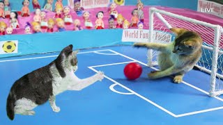 Download lagu Kucing Lucu Bermain Sepak Bola - Permainan Anak Kucing mp3
