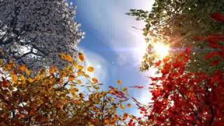 Levantame en amor ( Sweep me away ) - Kari Jobe.wmv