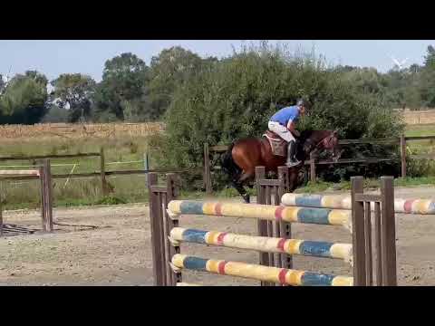 Pandora 300: PILOTHAGO TN x IT'S ME DU MESNIL