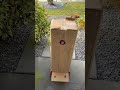 Would You Order One Viral Funny Comedy
