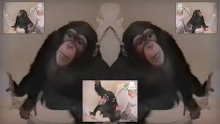 Cover art for monkey falls into toilet. hilarity ensues.