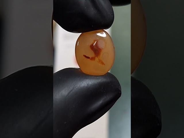 حجر عقيق طبيعي مصور طير على الغصن مفحوص بشهادة مخت...